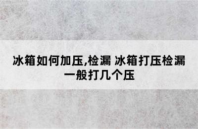 冰箱如何加压,检漏 冰箱打压检漏一般打几个压